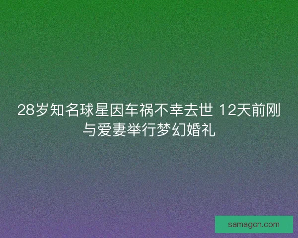 28岁知名球星因车祸不幸去世 12天前刚与爱妻举行梦幻婚礼